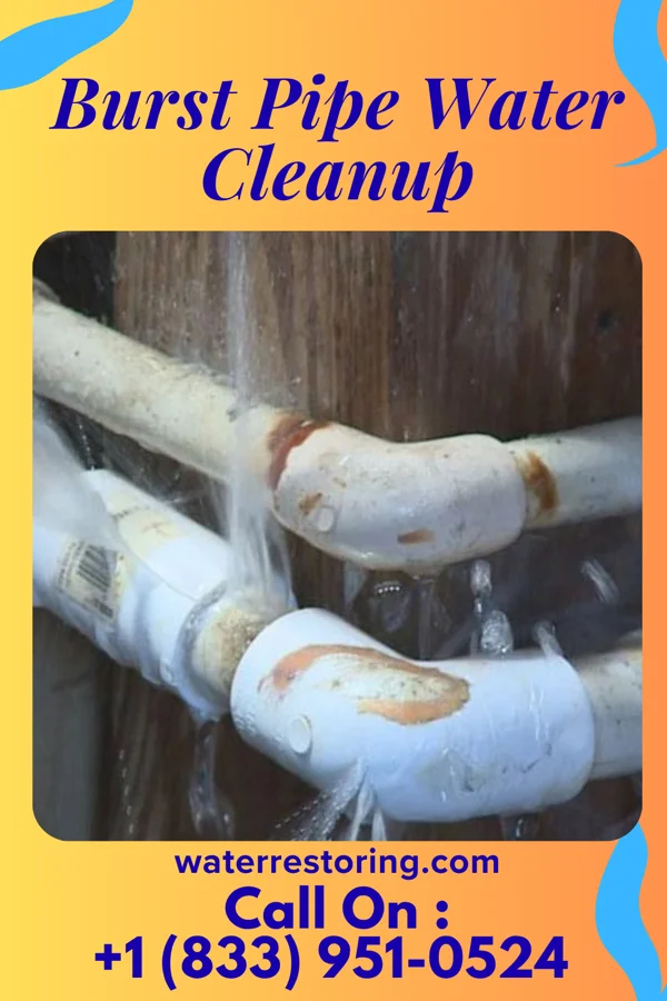 Burst Pipe Water Cleanup in Island Park, NY