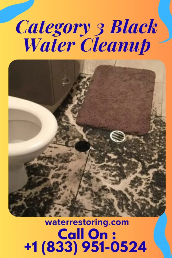 Category 3 Black Water Cleanup in Island Park, NY