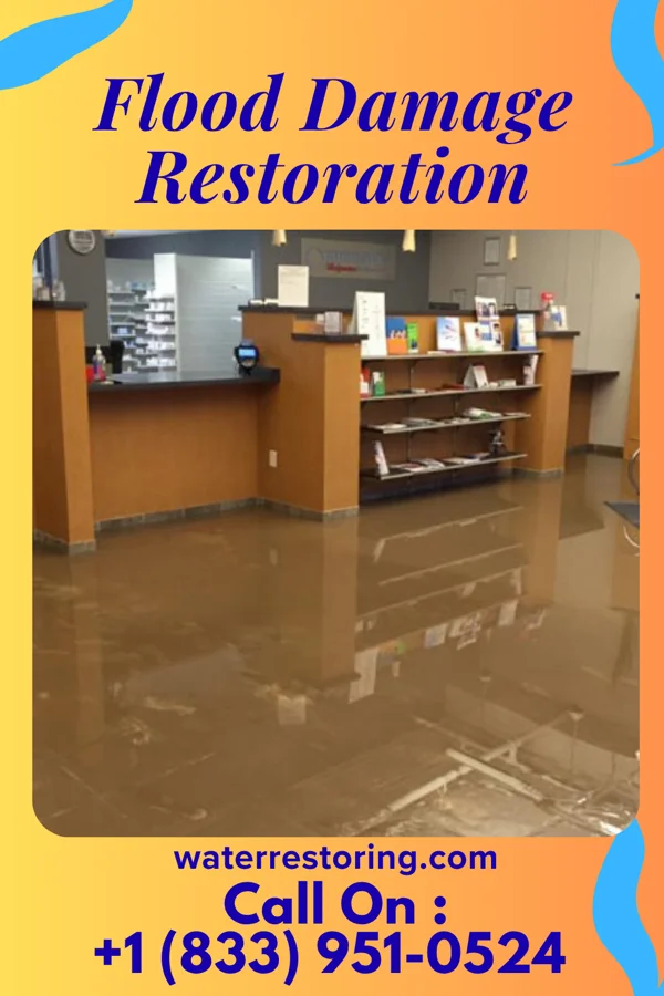 Flood Damage Restoration in Island Park, NY