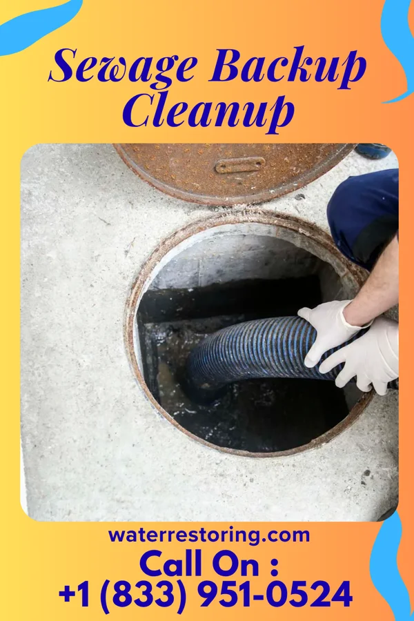 Sewage Backup Cleanup in Island Park, NY