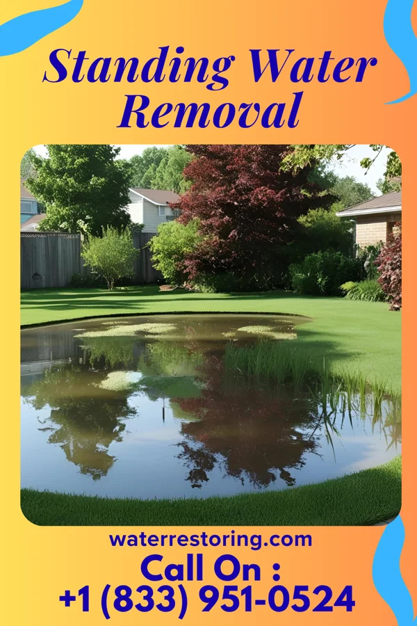 Standing Water Removal in Island Park, NY
